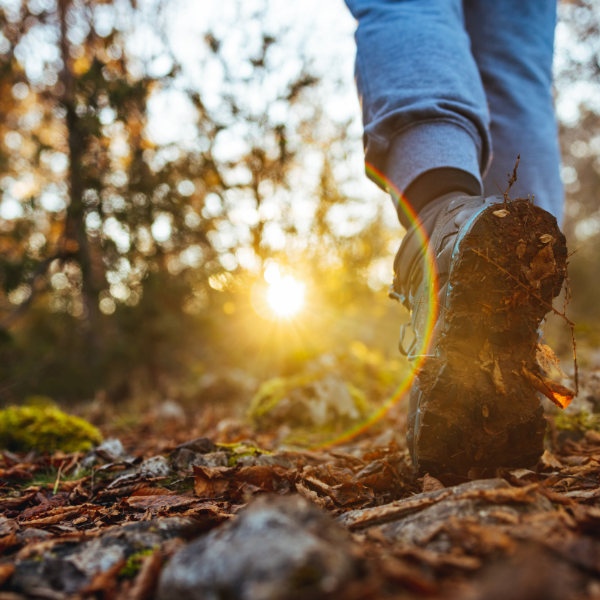 _passegiata_trekking