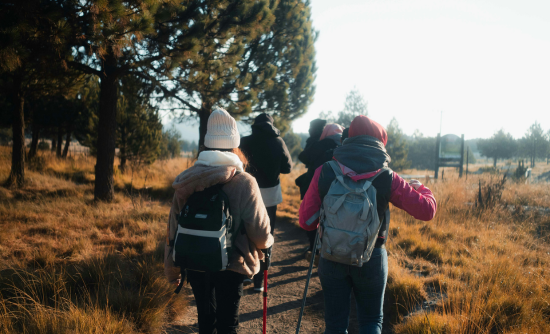 Copertine – bannerone (5)