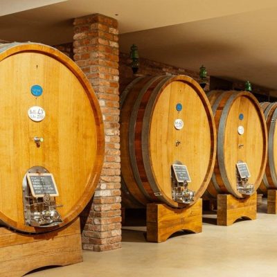 brandini agricola vinum - eventi