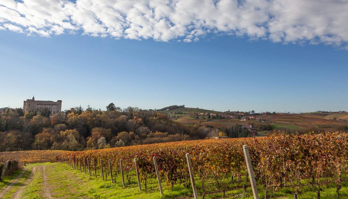 castello costigliole - eventi