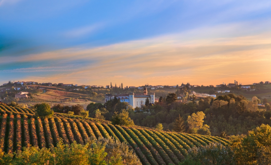 _castello_costigliole