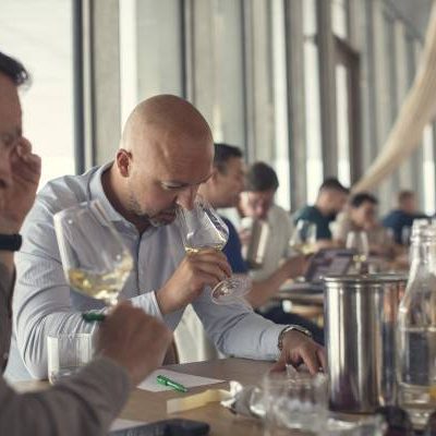 degustazione strada del barolo - eventi
