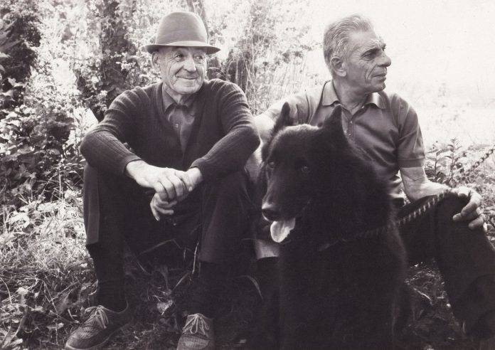 priero mostra-eventi