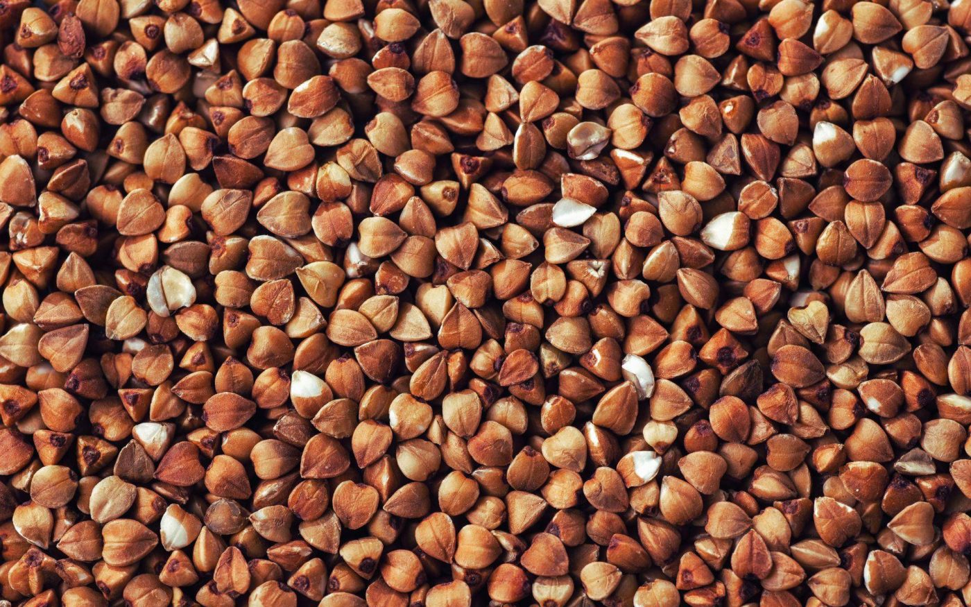 Grano saraceno