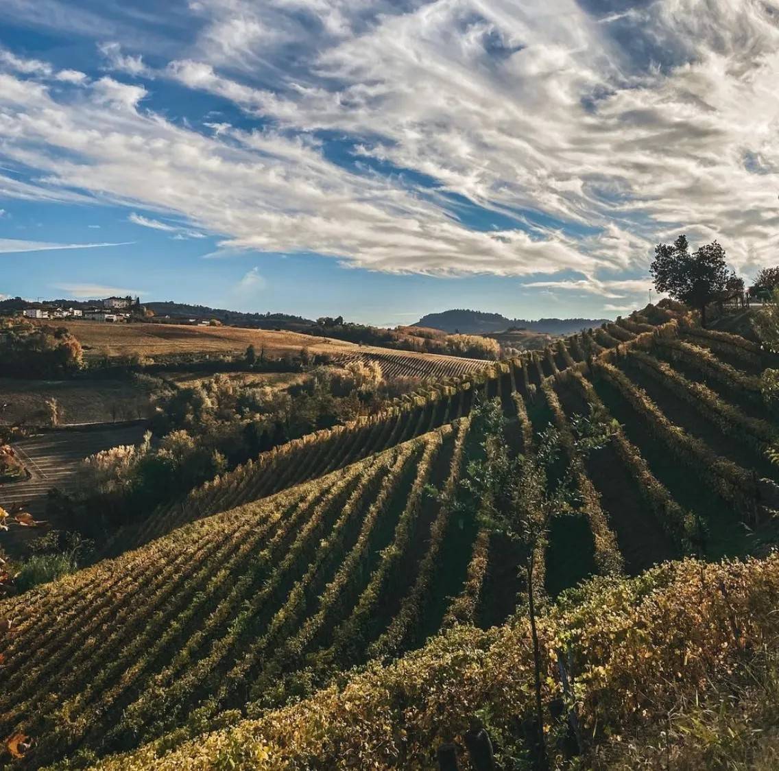 picnic_cà_neuva_panorama_