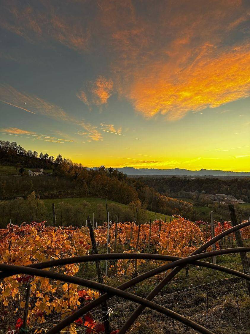 picnic_cà_neuva_tramonto_