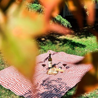 Ca neuva picnic