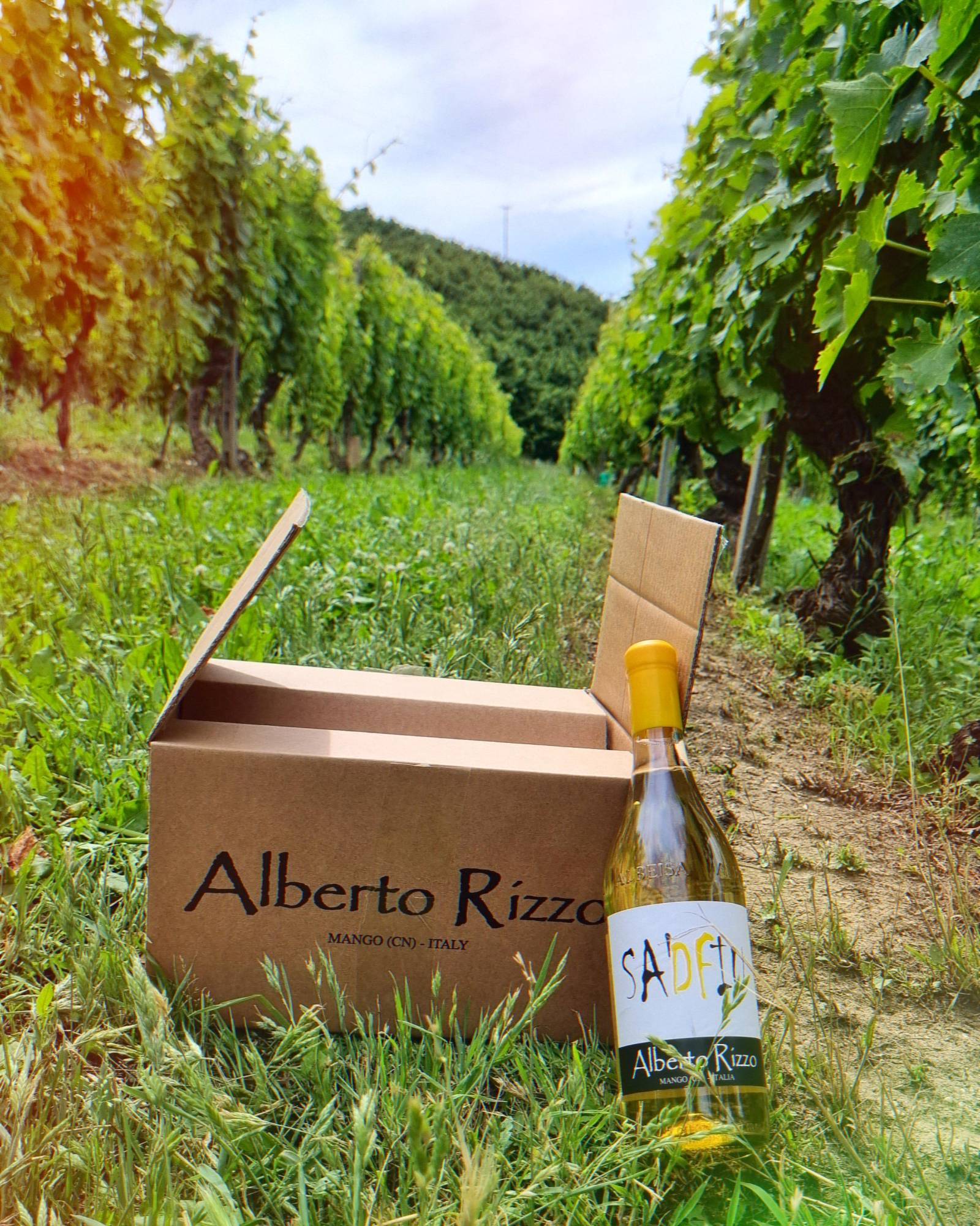 Alberto Rizzo Winery