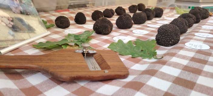 castagnole lanze nero sublime – eventi