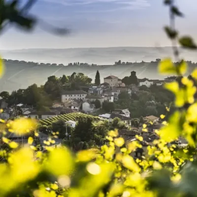 comune di neviglie - eventi