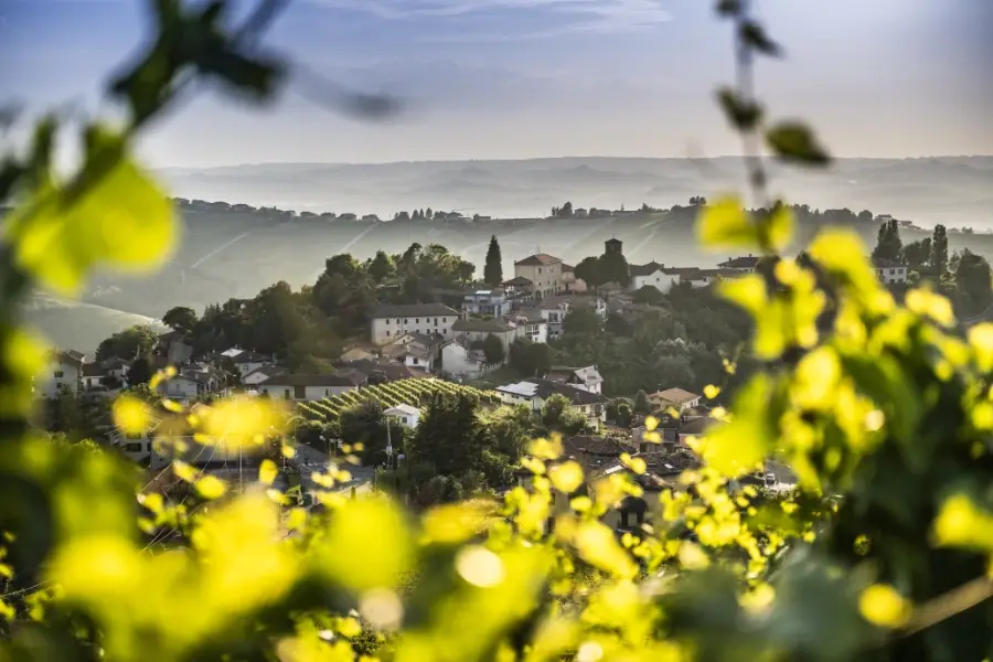 comune di neviglie - eventi