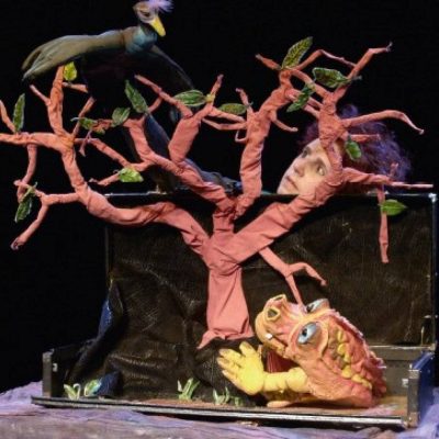 il bosco in valigia - eventi