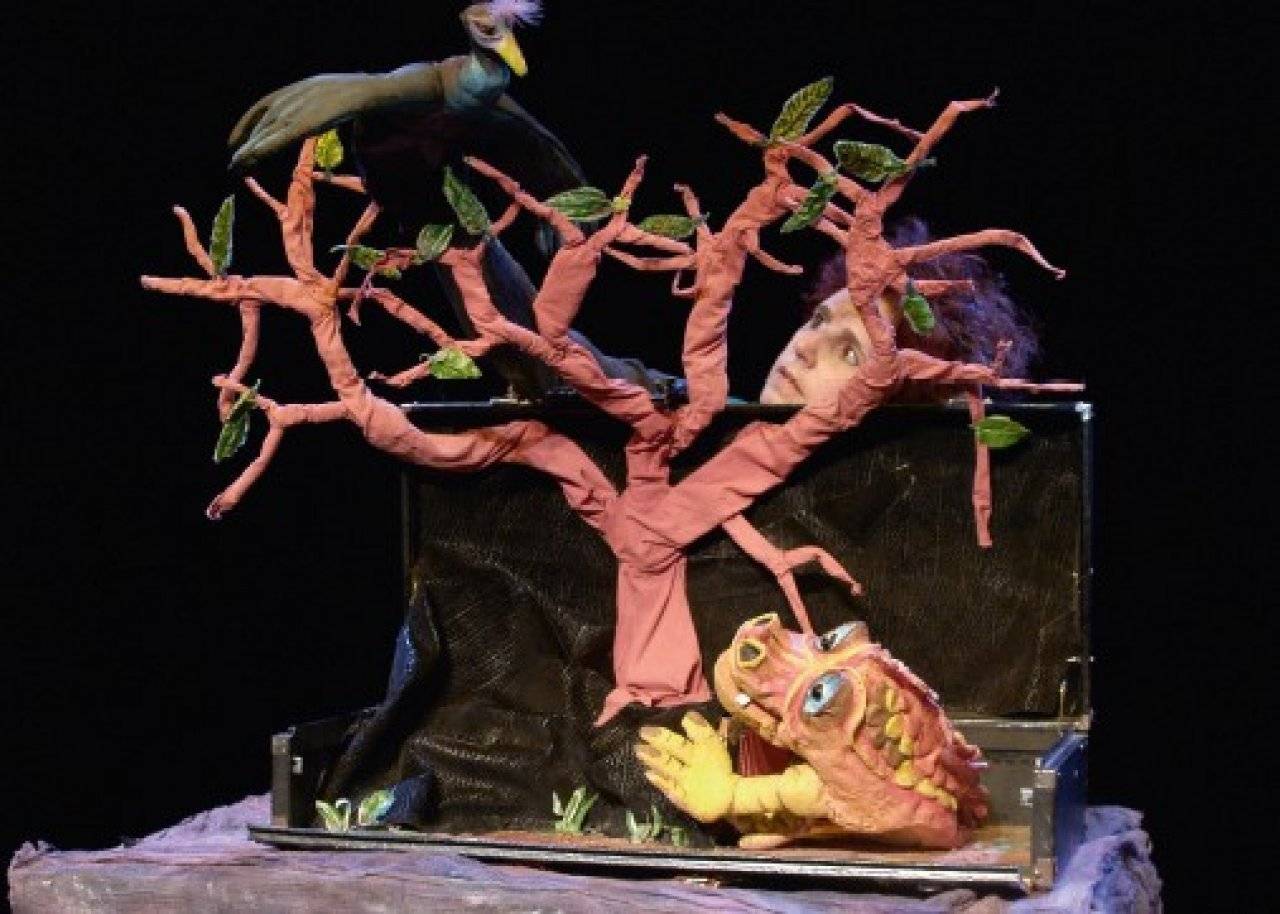 il bosco in valigia - eventi