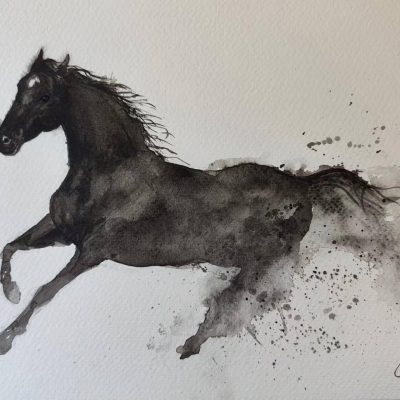 camilla poli - eventi