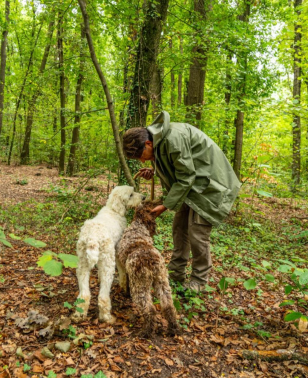 ricerca tartufo - eventi