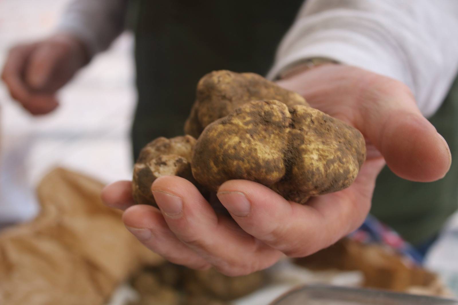 Tartufo