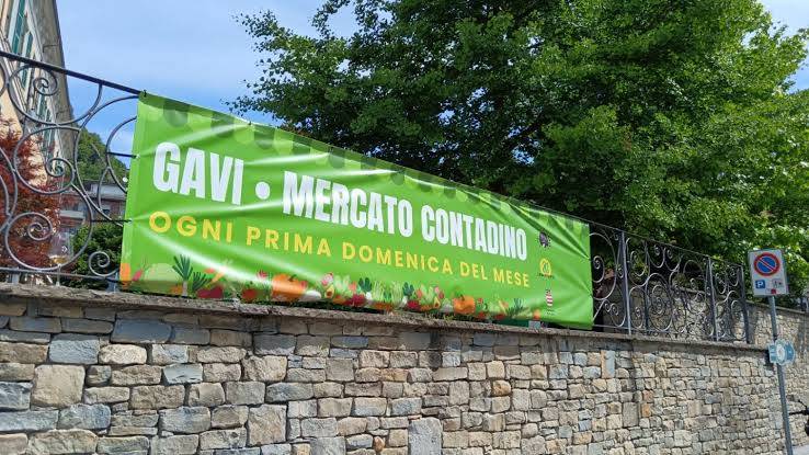 Mercato contadino di Gavi